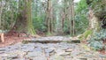 Kumano Nachi Taisha